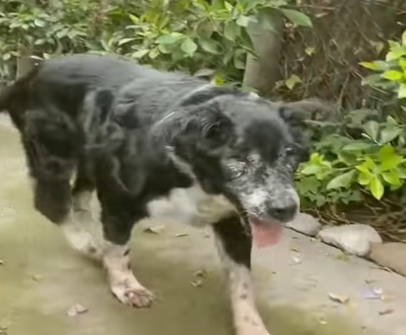 Sócrates recuperándose