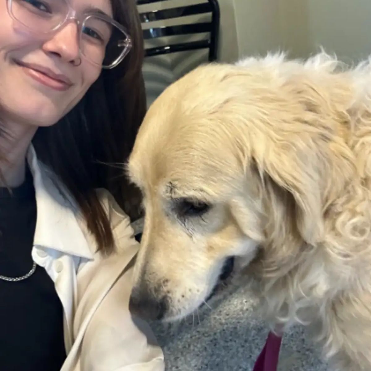 Mujer y golden retriever