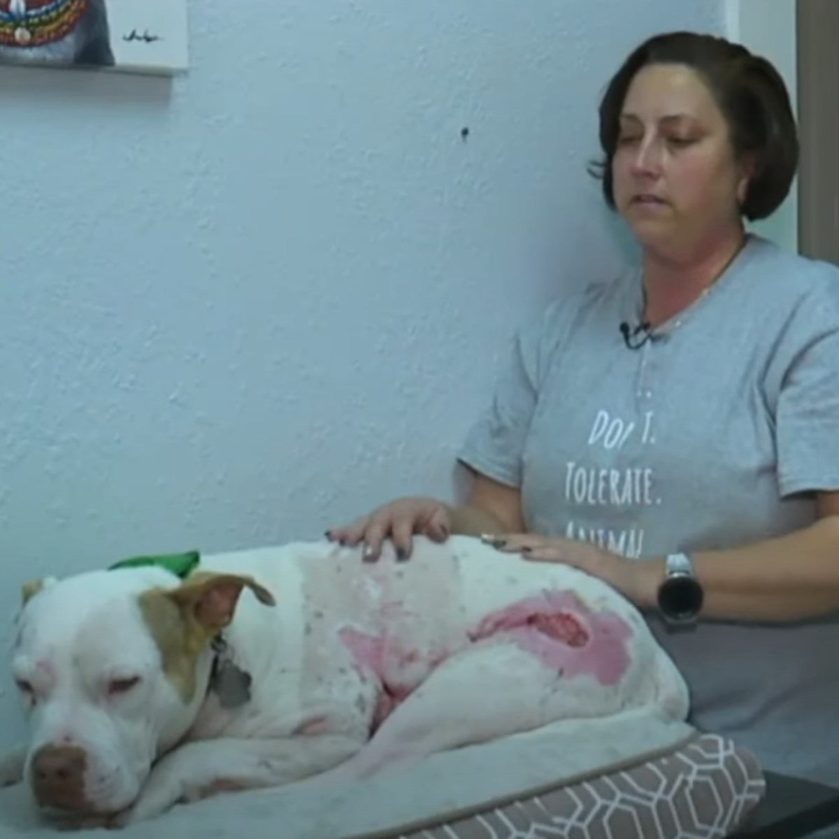 mujer acariciando al perro