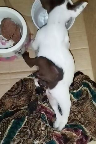 Mia con sus hermanos