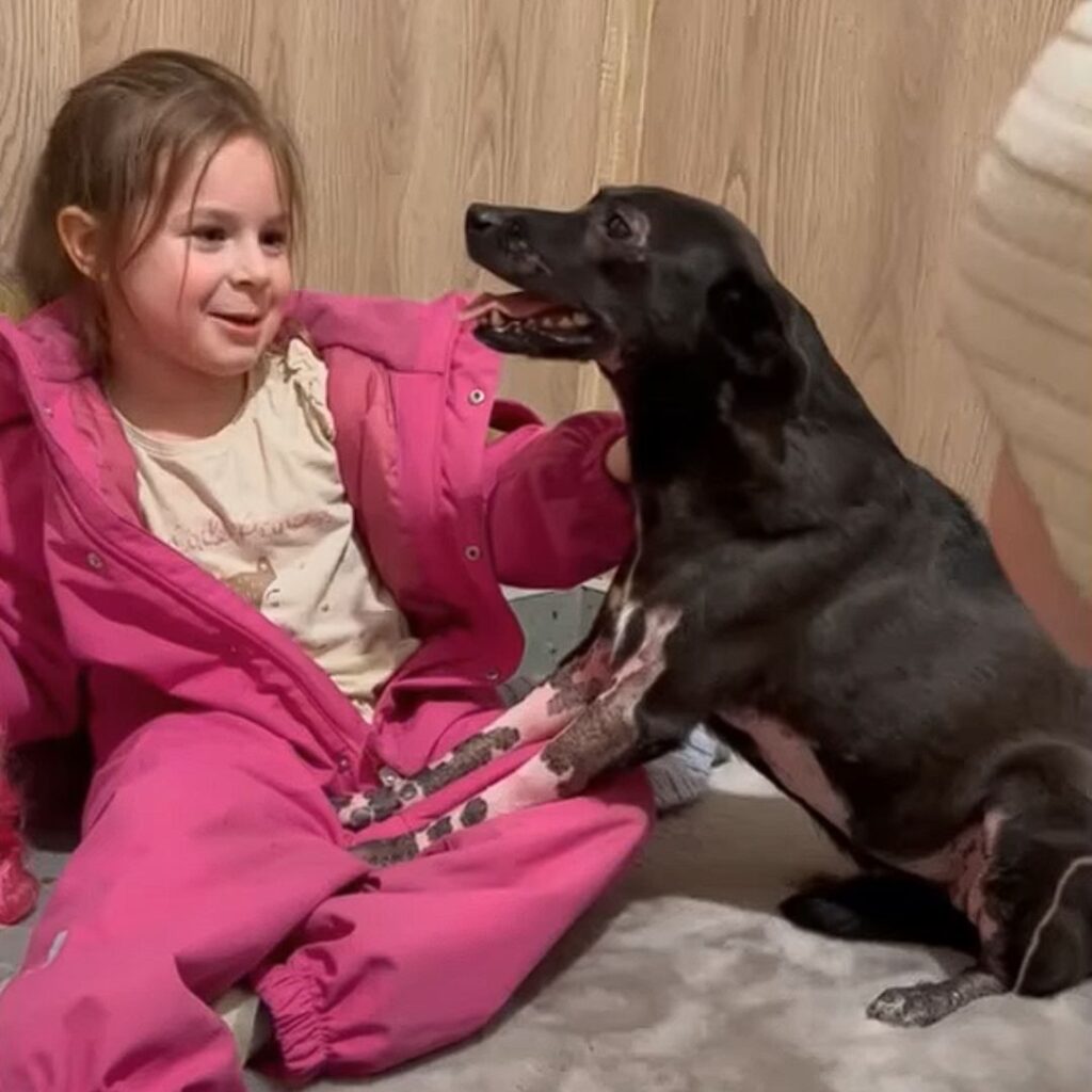 Kama en su nuevo hogar