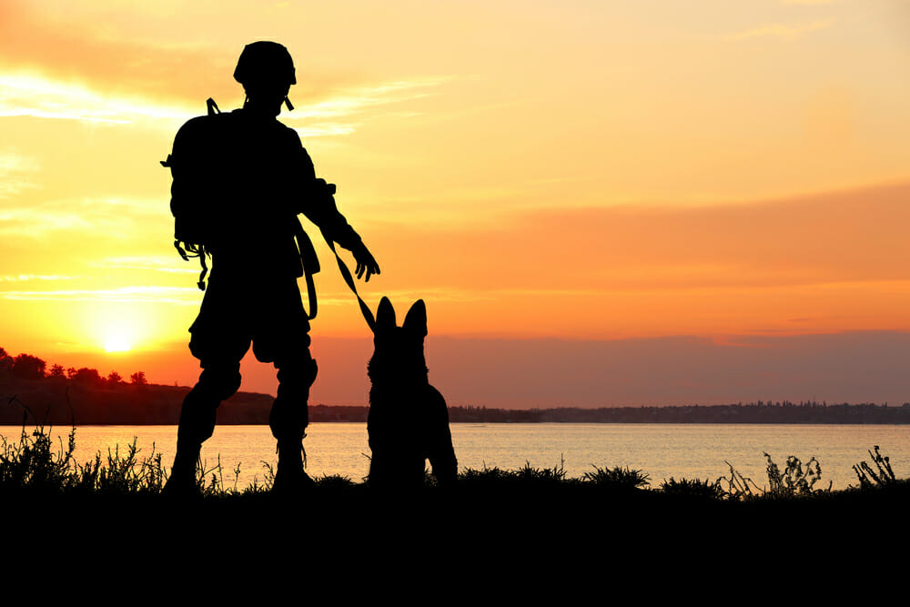 Perro sobre la espalda del soldado dormido