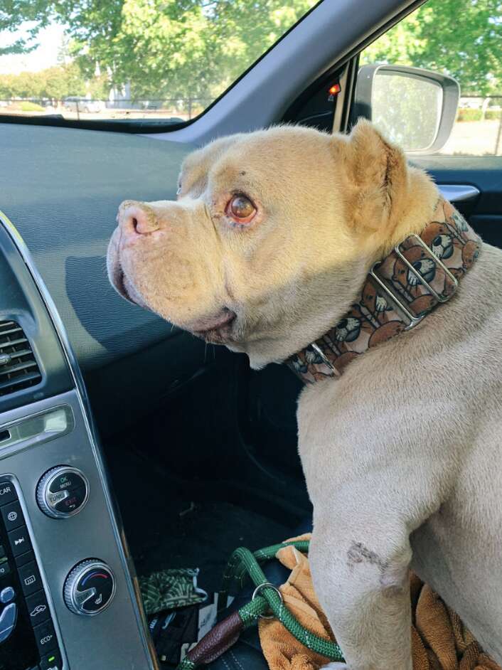 Leroy en el coche tras el rescate
