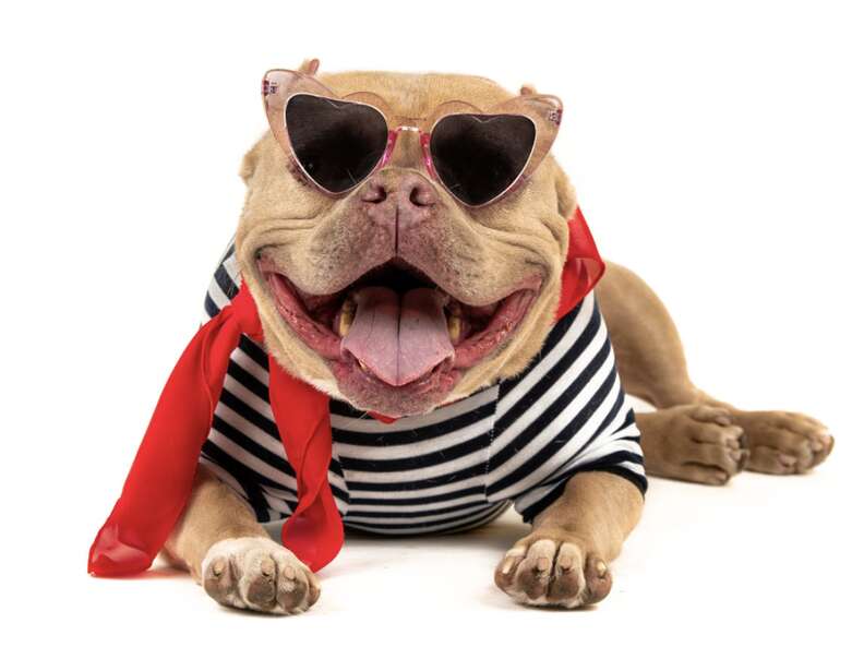 Leroy con gafas de sol