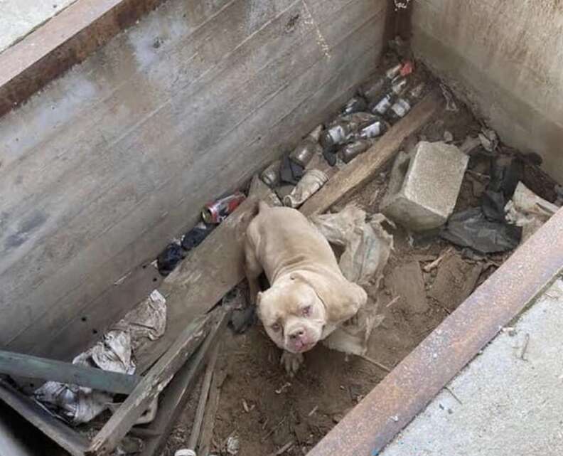 Leroy en el hoyo de cemento