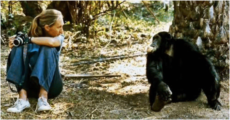 Jane Goodall sonriente en gira de conferencias
