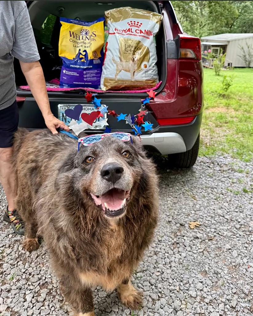 Bear sonriendo en el refugio